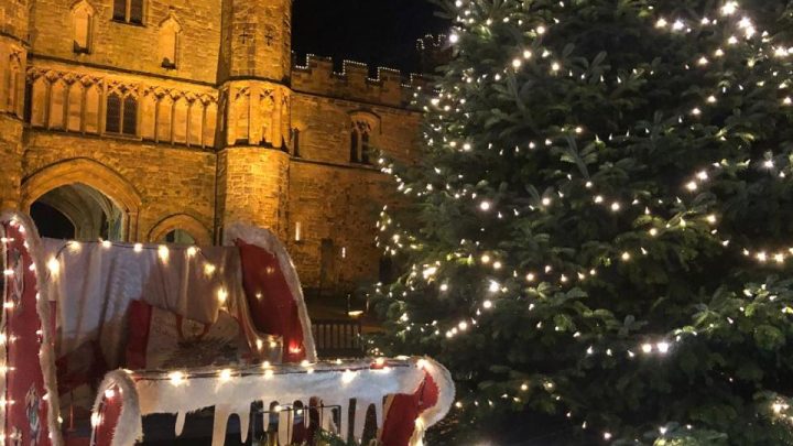 Illuminated Christmas tree and festive display outside Battle Abbey